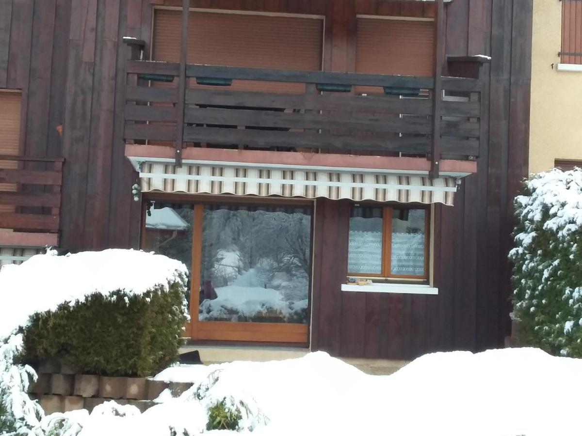 Charmant Duplex De 45M², 2 Chambres, Jardin, Garage, Villard-De-Lans - Fr-1-515-51 Exterior photo